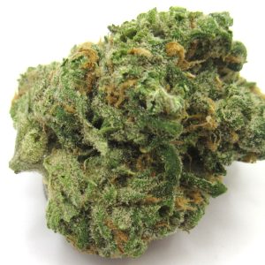 Indoor Blue Dream Strain