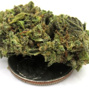 GreenHouse Light Assist Mendo Breath Strain