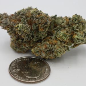 Indoor Lemon Cherry Zkittlez Strain