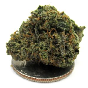 Indoor Strawberry Banger Strain