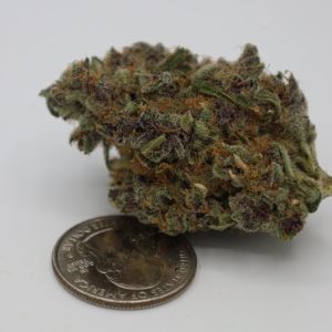 Indoor Zebra Cakes Strain