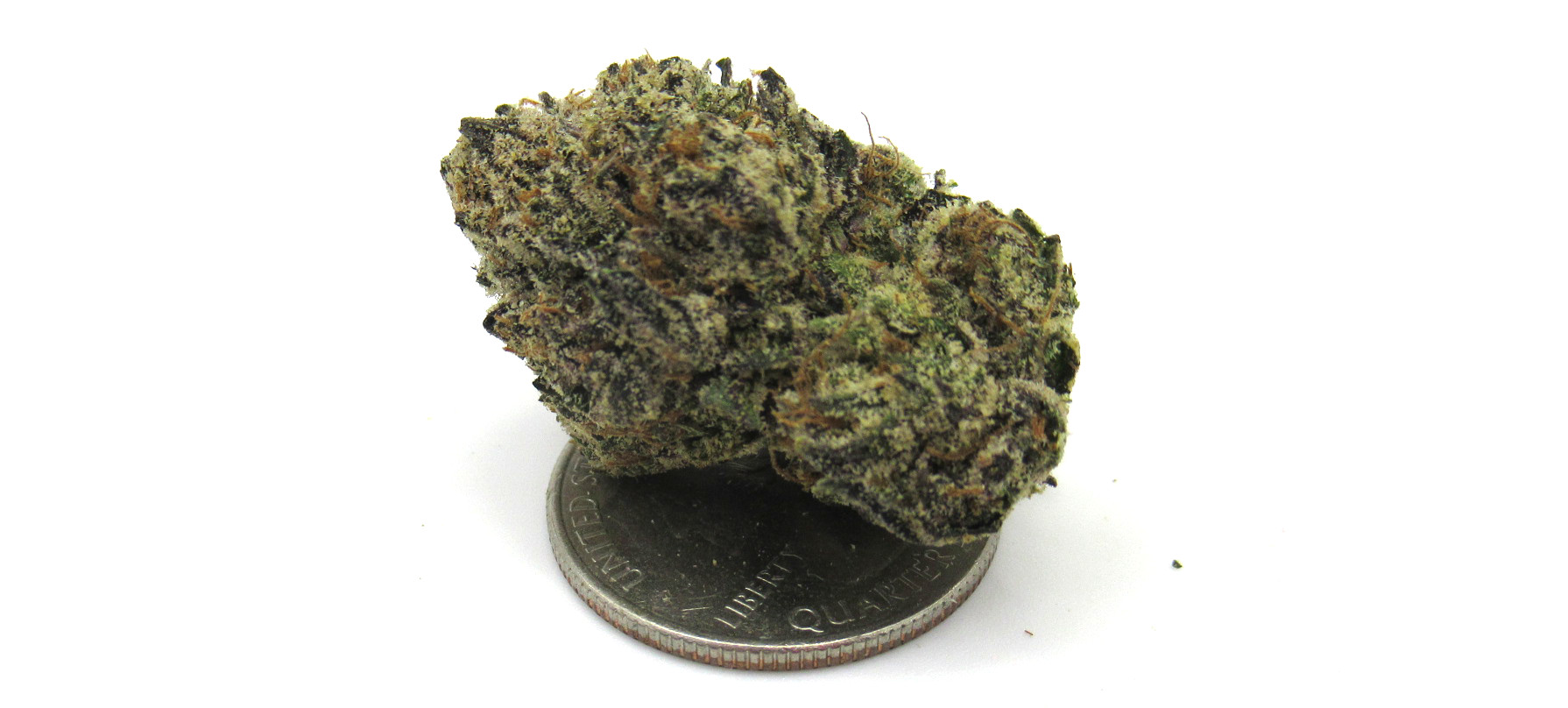 Ultra Premium Designer Runtz Strain Ultra Premium Designer Runtz Strain